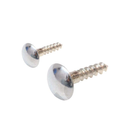 Mirror Screw 2Inch (Ms2)