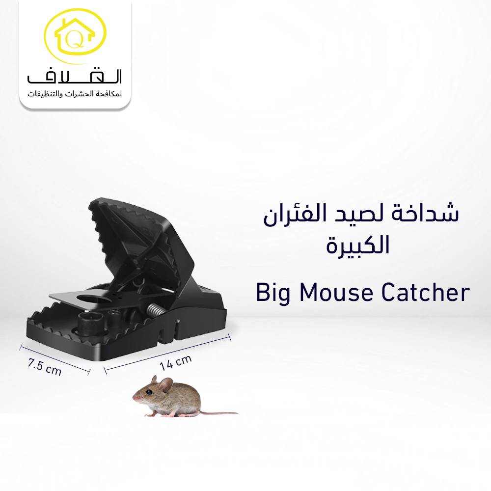 Tnl Visible Mouse Trap Cage Tlpmt0301