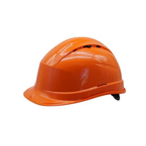 EXECUTIVE SAFETY HELMET